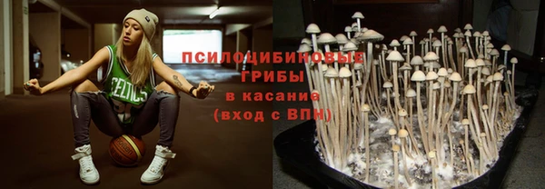 PSILOCYBIN Вязьма