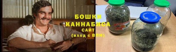 гидра Володарск