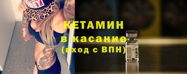 гидра Володарск