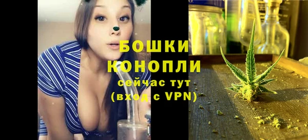 PSILOCYBIN Вязьма